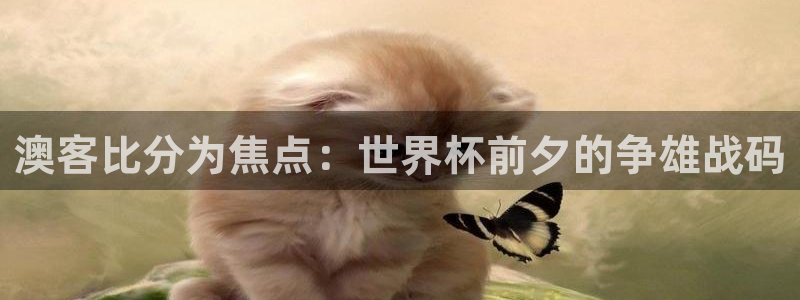 澳客比分为焦点：世界杯前夕的争雄战码