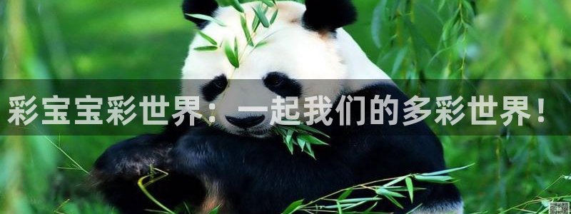 u8国际平台官网入口：彩宝宝彩世界：一起我们的多彩世界！