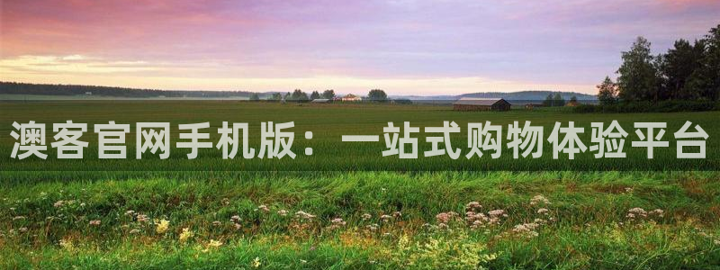 u8国际集团：澳客官网手机版：一站式购物体验平台