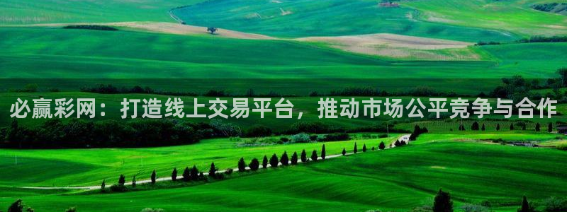 u8国际界面视觉重构.活动专区.中国：必赢彩网：打造线上交易平台，推动市场公平竞争与合作