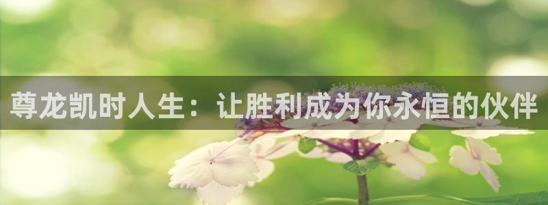 u8集团：尊龙凯时人生：让胜利成为你永恒的伙伴