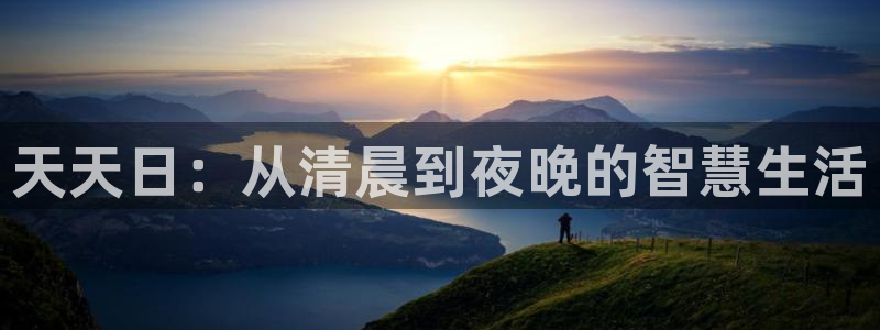u8集团：天天日：从清晨到夜晚的智慧生活