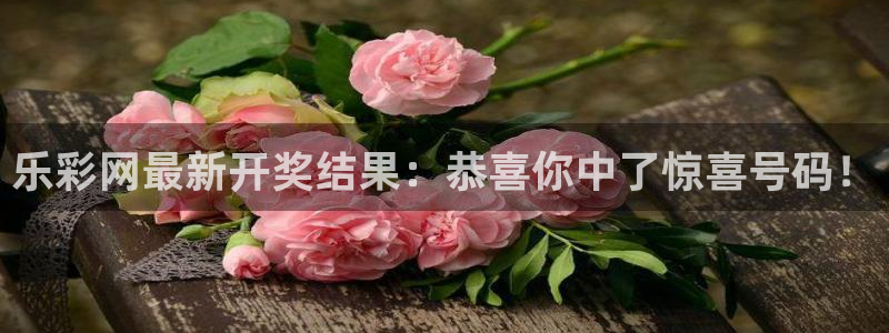 优发国际平台u8：乐彩网最新开奖结果：恭喜你中了惊喜号码！