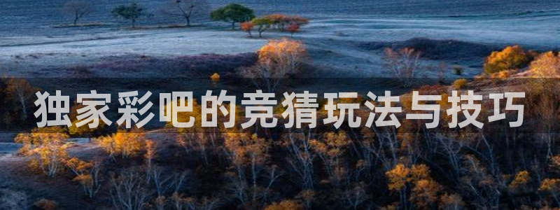 u8国际设计焕新上线.页面浏览.中国：独家彩吧的竞猜玩法与技巧