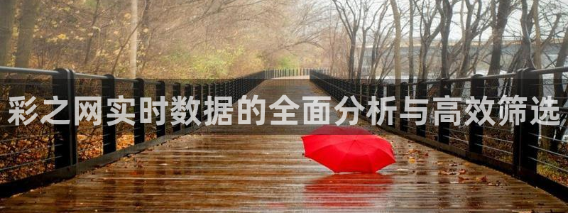 u8是什么意思：彩之网实时数据的全面分析与高效筛选